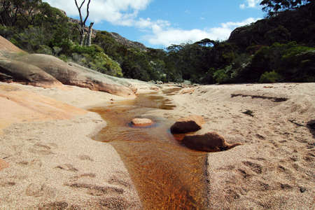 little stream at sleepy bayの写真素材