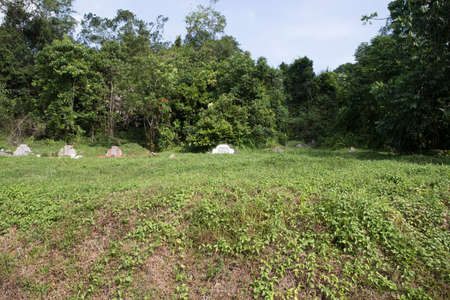 Bukit Brown Cemeteryのeditorial素材