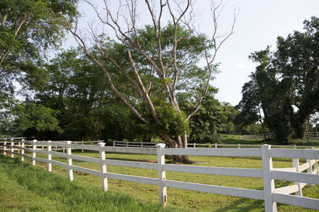 white garden fence