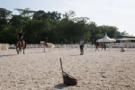 horse riding field with dustpanのeditorial素材