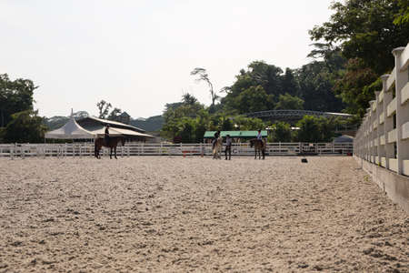 horse riding fieldのeditorial素材
