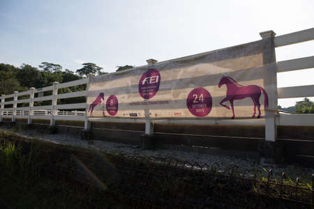 banner of horse riding eventのeditorial素材