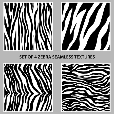 Set of four zebra seamless textures collection,  patterns swatches made with natural zebra colorsのイラスト素材