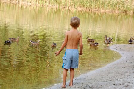 little boy standing on the pond bank and watching wild ducksの写真素材