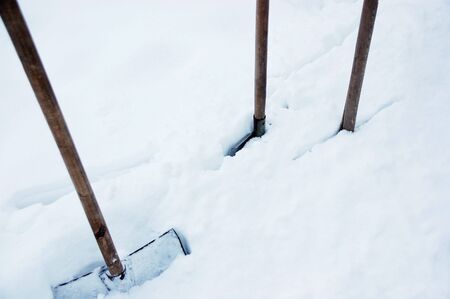 tree spades stuck into the deep snowの写真素材