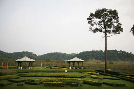 Garden の写真素材