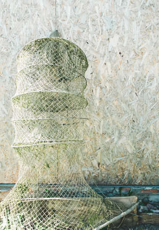 Fishing net for fishing, fish backgroundの写真素材
