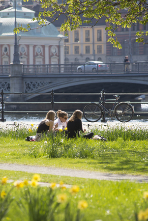 View of park in Stockholm city in spring time.のeditorial素材