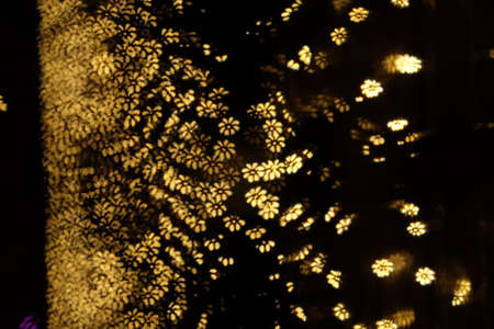 Custom Bokeh Flower Shapeの写真素材