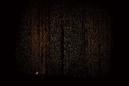 Custom Bokeh Shapeの写真素材