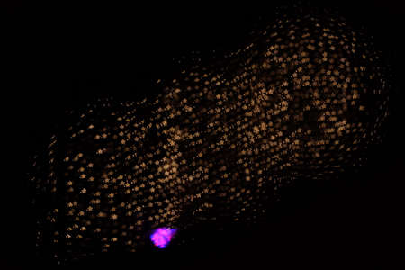 Custom Bokeh Stars Shapeの写真素材