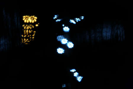 Custom Bokeh Flower Shapeの写真素材