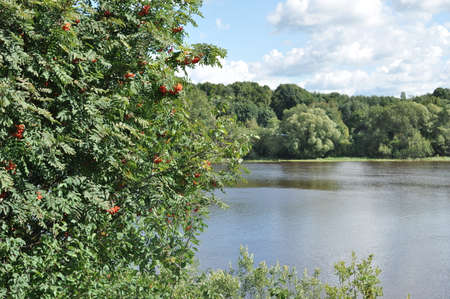 Nature Ladogaの写真素材