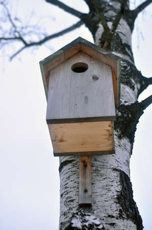 Birdhouse on a treeの写真素材