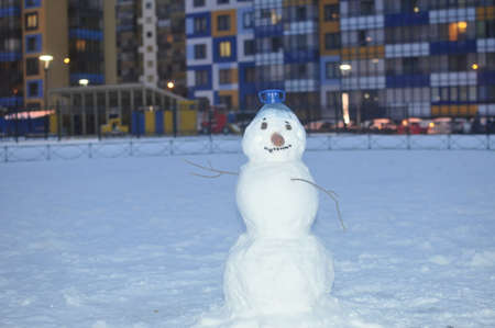 Snowman in the yardの写真素材