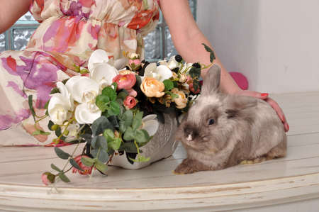 Gray rabbit on a background of dress and a basket of flowersの写真素材