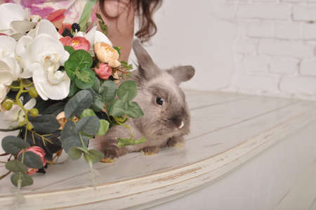 Hare with flowersの写真素材