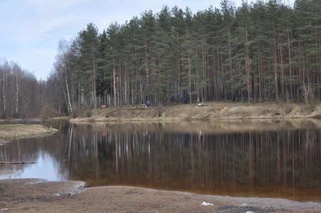 forest Lakeの写真素材