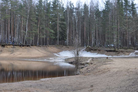forest Lakeの写真素材