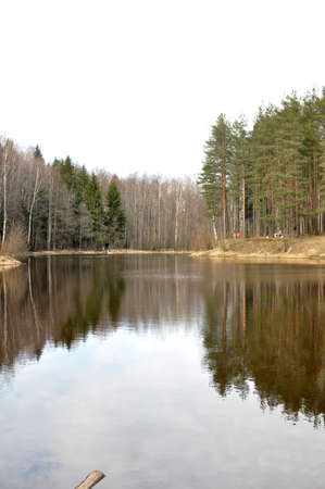 forest Lakeの写真素材