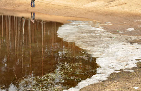 forest Lakeの写真素材