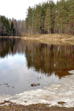 forest Lakeの写真素材