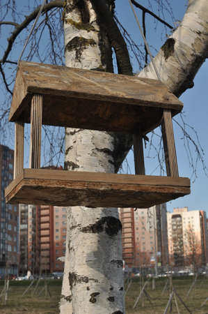 Birdhouse on the birchの写真素材