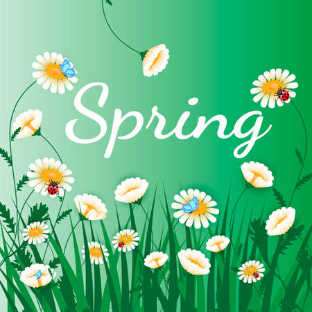 Green grass with white chamomiles on green. Floral nature background. Vector flower with butterfly and ladybirdのイラスト素材