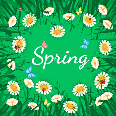 Green grass with white chamomiles on green. Floral nature background. Vector flower with butterfly and ladybirdのイラスト素材