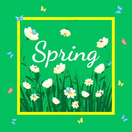 Green grass with white chamomiles on green. Floral nature background.のイラスト素材