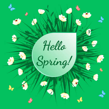 Green grass with white chamomiles on green. Floral nature background. Vector flower with butterfly and ladybird around sticker.のイラスト素材