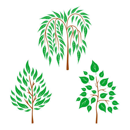 Vector flat trees on white background. Logo design illustrationのイラスト素材