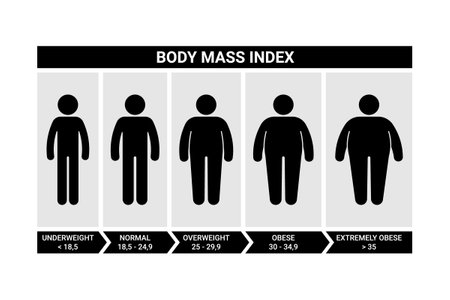 Stick figure man body mass index vector illustration set. Male bmi infographic chart icon silhouette pictogram on whiteのイラスト素材