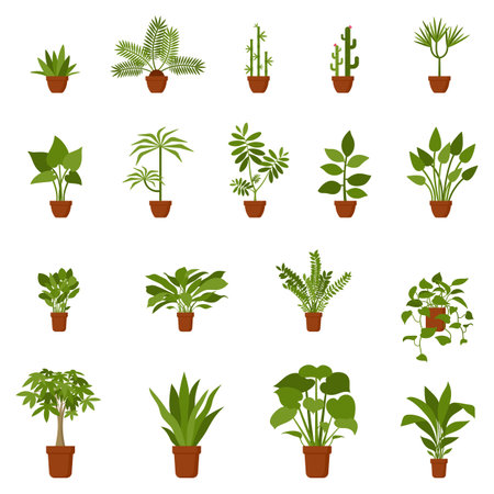 Home pot flower plant vector illustration set. Indoor office house gardening horticulture nature lifestyle flat style collectionのイラスト素材