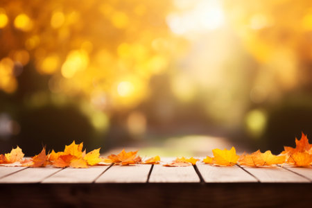 Yellow autumn leaves on wooden surface on good sunny weather on empty copy space for text blur fall trees background. Nature mock up conceptの素材