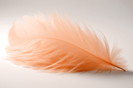 A gentle peach fuzz color feather lying on minimal light background. Modern trendy tone hue shadeの素材