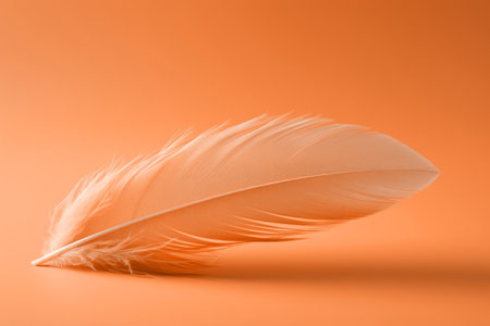 A soft peach fuzz color feather lying on minimal background. Modern trendy tone hue shadeの素材