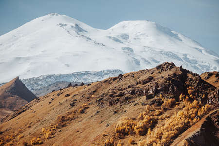 Red forest in the Elbrus mountains, Russia