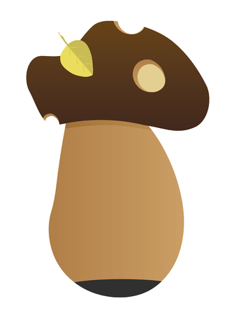 mushroom beautiful environment food edible raw myceliumのイラスト素材