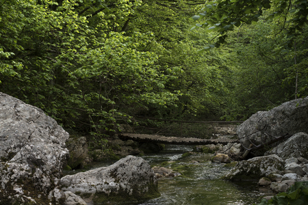 the bridge in the wood over the river with stones and treesの写真素材