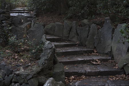 old the stone ladder with steps about trees rises upの写真素材