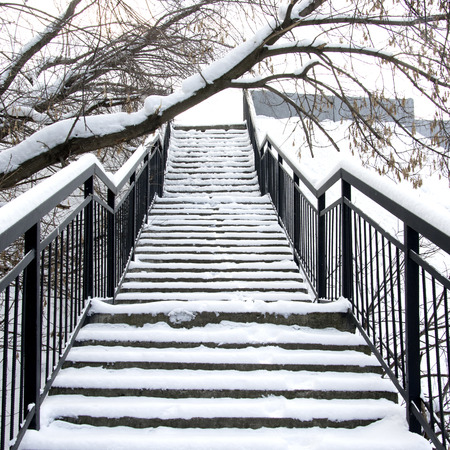 the romantic ladder going up with branches and to snowの写真素材