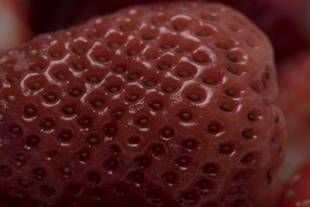 whole strawberry largelyの写真素材