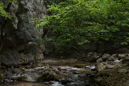 the quiet river in the parkの写真素材