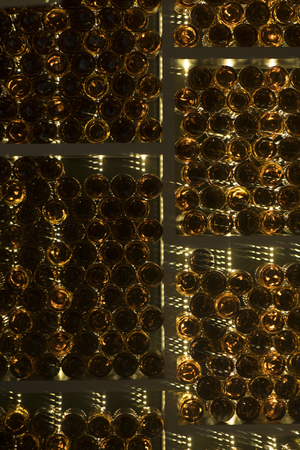 many bottles of wine lie on shelves in a wine cellarの写真素材