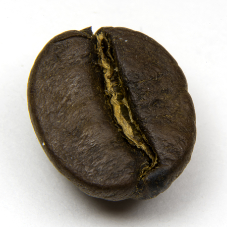 seed of coffee macroの写真素材