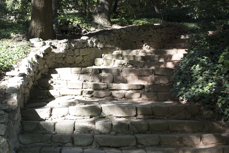 stone staircase in the forestの写真素材