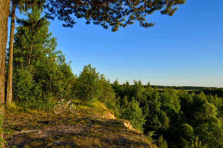 there is a bicycle on the hill, a tall pine tree nearby, green trees below .blue sky backgroundの写真素材