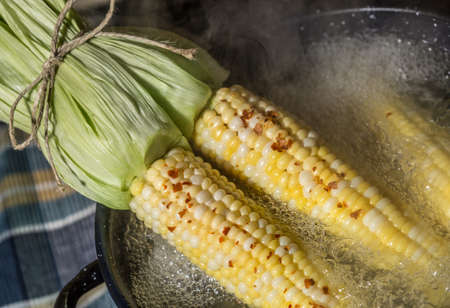 Fresh Corn
