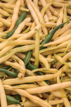 Yellow and Green beansの写真素材